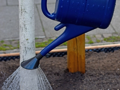 Wasser für Stadtbäume: Gießauftakt in Leipzig