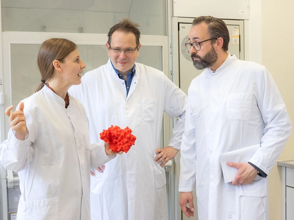 Am Institut für Wirkstoffentwicklung werden anhand von Proteinstrukturen computergestützte Wirkstoffe entwickelt. Foto: Swen Reichhold / Universität Leipzig