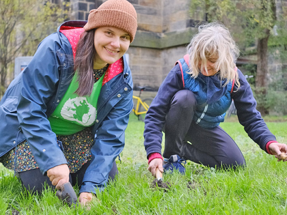 Wichtige Starthilfe für Insekten: Ökolöwe steckt 3.000 Frühblüherzwiebeln vor der Leipziger Peterskirche