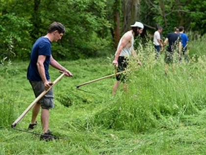 Artenschutz mit der Sense: Herbst-Mahd auf der BUND-Streuwiese in Leipzig-Wahren