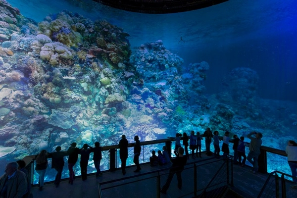 Panometer Leipzig / Great Barrier Reef
