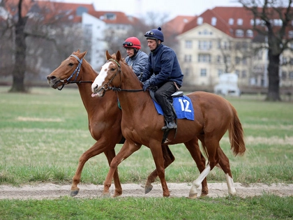 Sächsische Galopphoffnung „Leipzig“ startet seine Rennkarriere