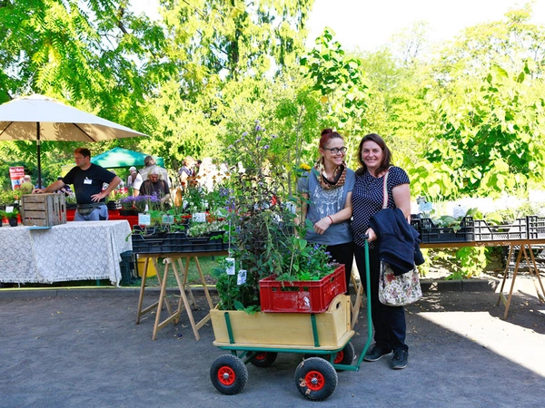 Pflanzenmarkt im Botanischen Garten Leipzig, Foto: Claudia Masur