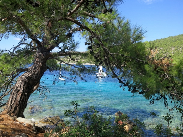 Bodrum, Foto: pixabay.com / joepwijsbek