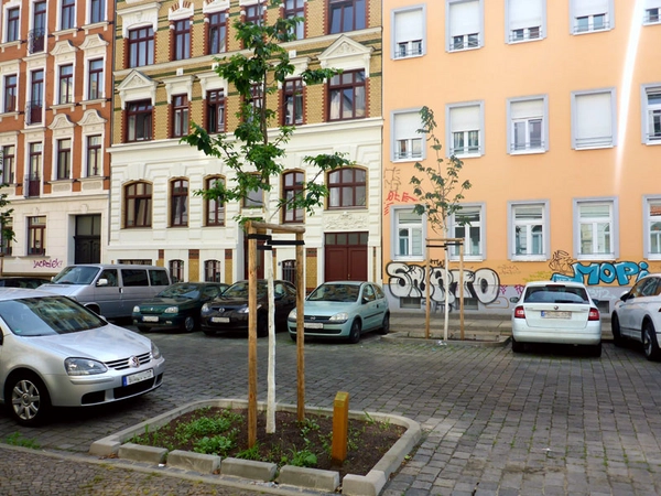 Neue Straßenbäume im Leipziger Süden, Foto: Ökolöwe