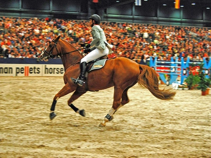 PARTNER PFERD 2025 mit Spitzenbesetzung