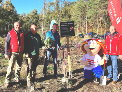 Sparkasse Leipzig und PS-Lotterie forsten Stadtwald von Belgern-Schildau auf