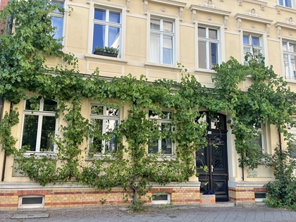 „Ideengarten: So gelingt die Fassadenbegrünung“ im Zeitgeschichtlichen Forum Leipzig