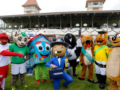 Spätsommer-Renntag im Scheibenholz