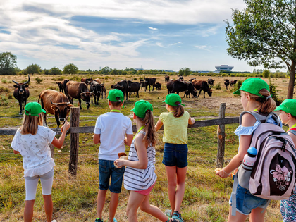 Porsche Safari 2019 mit neuen Angeboten für Familien und Schulen Porsche Safari 2019 mit neuen Angeboten für Familien und Schulen