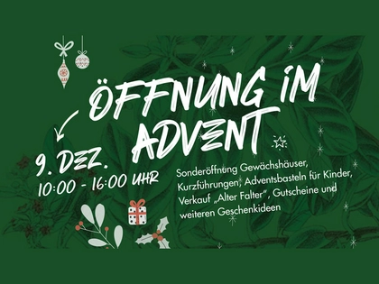 Adventssamstag im Botanischen Garten Leipzig