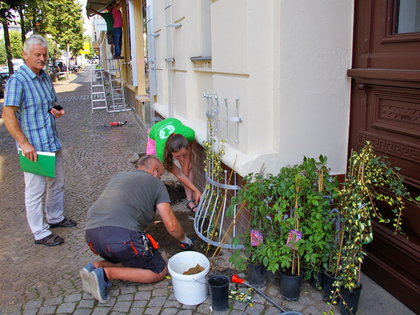 Haus in der Bornaische Straße 9 bekommt ein grünes Kleid