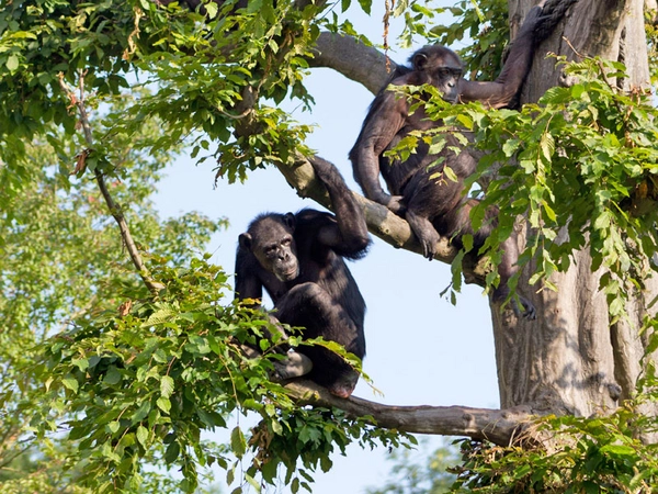 Foto: Zoo Leipzig