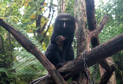 Zoo Leipzig stärkt Familien und den Artenschutz Zoo Leipzig stärkt Familien und den Artenschutz