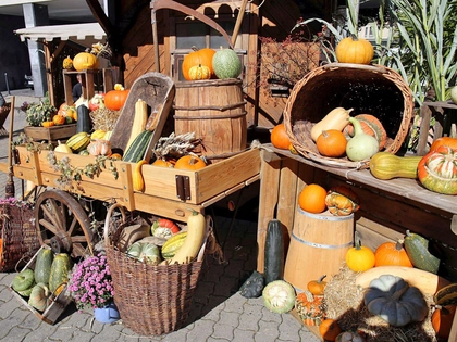 Leipziger Markttage finden 2020 nicht statt