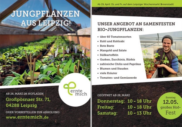 Flyer: Jungpflanzenverkauf 2024 - 10 Jahre Ernte-mich