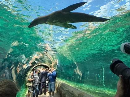 Zoo Leipzig: 365 Tage mit drei Meilensteinen