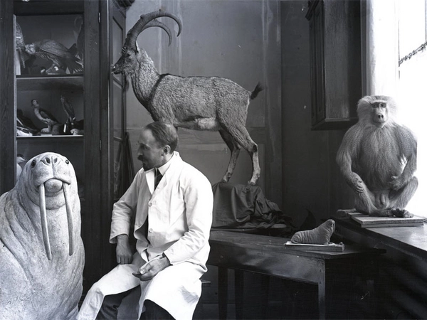 Herman Ter Meer im Atelier, Foto: Naturkundemuseum Leipzig