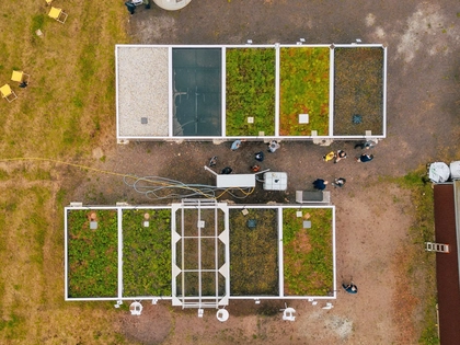 Auf der Suche nach dem perfekten Gründach