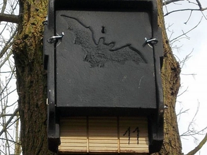 Fledermäuse am Parkbogen Ost: Stadt Leipzig lädt ein, Flattertiere und Gartenpark zu erleben