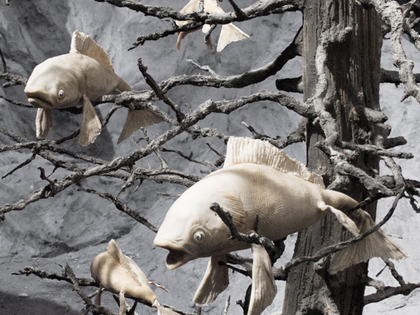 DOK Leipzig zeigt Filme zum Klimaaktivismus