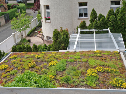 Dachbegrünung selber machen: Leipziger Ökolöwen laden zu einem kostenlosen Online-Vortrag ein