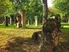 Alter Johannesfriedhof, Quelle: 