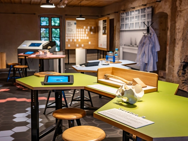 Anthro Lab auf Burg Mildenstein, Foto: Dietmar Thomas
