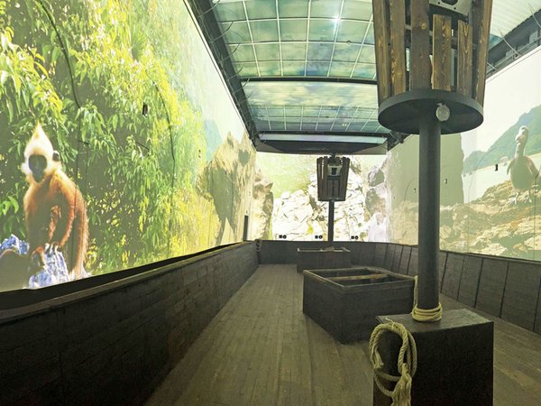 Einblick in das immersive Kinoerlebnis im Entdeckerhaus Arche, Foto: Zoo Leipzig