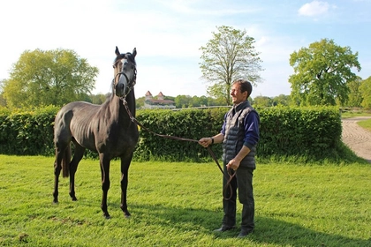 Rennpferdbesitzer für ein Jahr