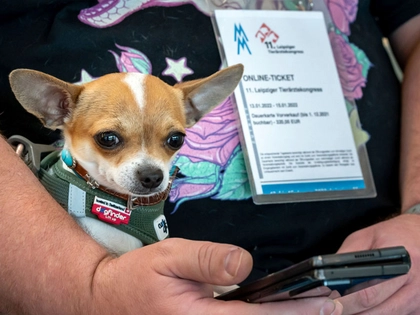 12. Leipziger Tierärztekongress und Fachmesse vetexpo auf der Leipziger Messe