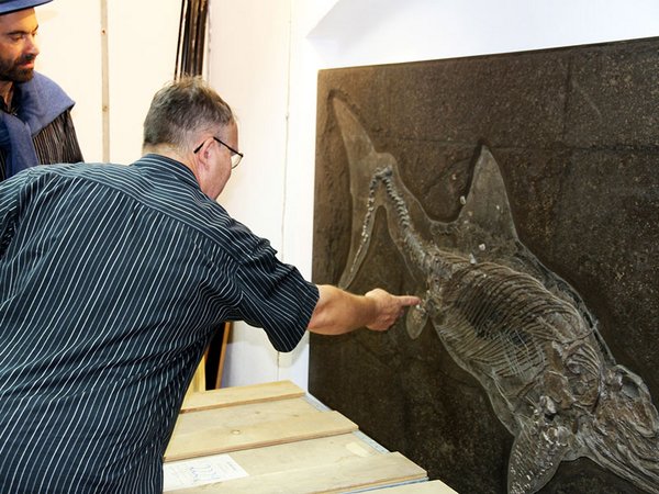Frank Trostheide erläutert sein Vorgehen bei der Präparation eines tadellos erhaltenen Ichthyosauriers, Foto: Naturkundemuseum Leipzig