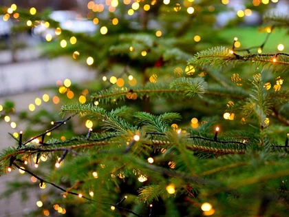 Leipziger Innenstadt erstrahlt wieder in weihnachtlichem Lichterglanz