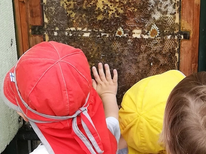 Entdeckertage Bienen im Zoo Leipzig Entdeckertage Bienen im Zoo Leipzig