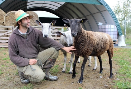 Galopprennbahn Scheibenholz: Großes Saisonfinale