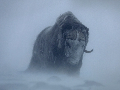 Anspruchsvolle Outdoor-Filme: Das Alpen Film Festival kommt nach Leipzig
