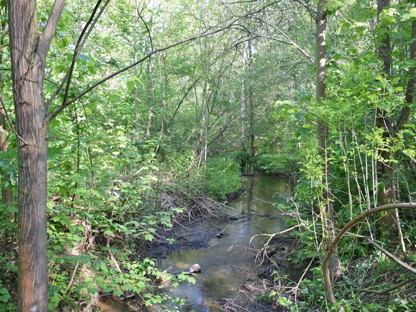 Burgauenbach, Foto: Karolin Tischer