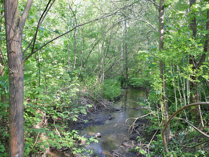 Projekt Lebendige Luppe Leipzig lädt zur Fahrradexkursion durch die Burgaue ein