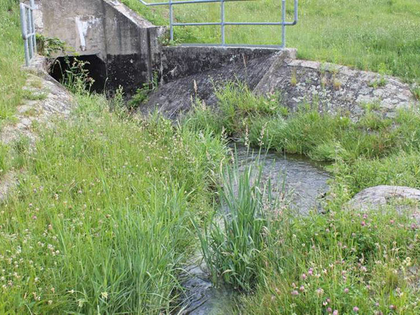 Das Projekt Lebendige Luppe lädt zur Radexkursion entlang des Zschamperts ein