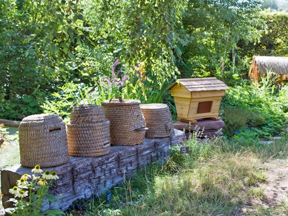 Neuer Bienengarten im Zoo Leipzig wird eingeweiht Neuer Bienengarten im Zoo Leipzig wird eingeweiht