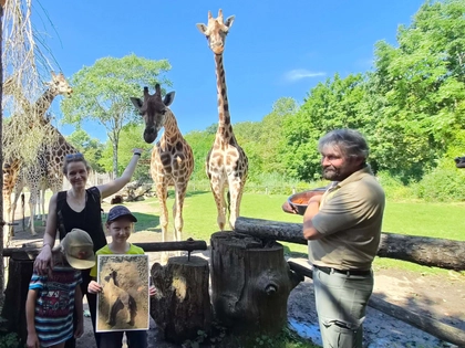 Name für kleinen Giraffenbullen im Zoo Leipzig enthüllt