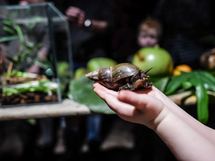 Winterferien im Zoo Leipzig: Magisches Tropenleuchten, Mittmachwerkstatt und Entdecker-Touren Winterferien im Zoo Leipzig: Magisches Tropenleuchten, Mittmachwerkstatt und Entdecker-Touren