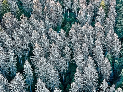 Öffentliche Ringvorlesung im Studium generale der HTWK Leipzig im Sommersemester 2021