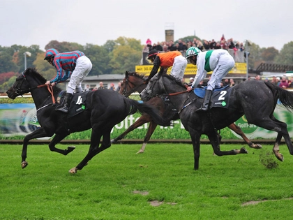Erfolgreiches Saisonfinale auf der Galopprennbahn Scheibenholz