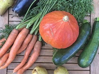 BUND Leipzig veranstaltet Erntedankwoche