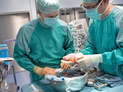 Zum 30. Jubiläum des Transplantationszentrums am UKL informieren Experten auf Leipziger Stadtfest über Organspende