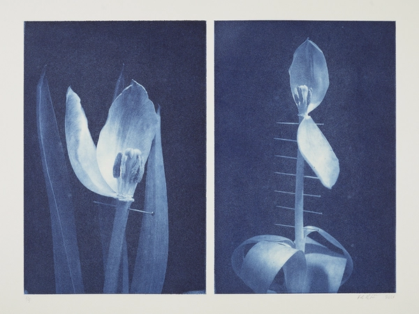 The Passions (2), 2026, Photogravure, je 42x28cm (MoDv), 53x78 cm (Papier), Hahnemühle weiß/300 g, Auflage 5, Foto: Kristian Aggerholm Bruun 