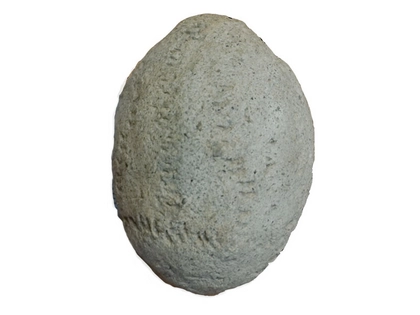 Archäologische Osterüberraschung im Naturkundemuseum Leipzig: Das erste slawische Tonei Sachsens