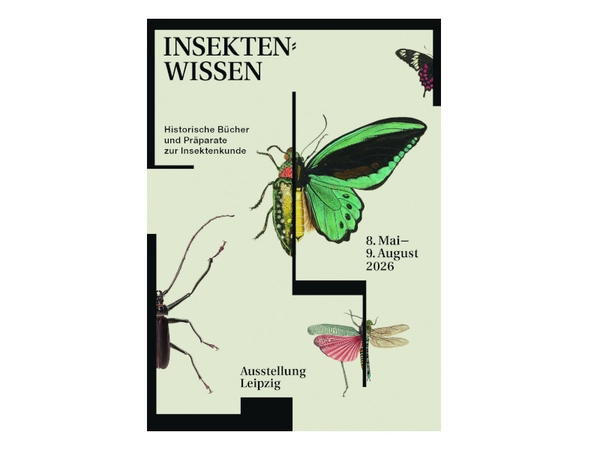Die Ausstellung „Insektenwissen“ ist vom 8. Mai bis 9. August 2026 in der Universitätsbibliothek Leipzig zu sehen. Bild: Stefan Gunnesch
