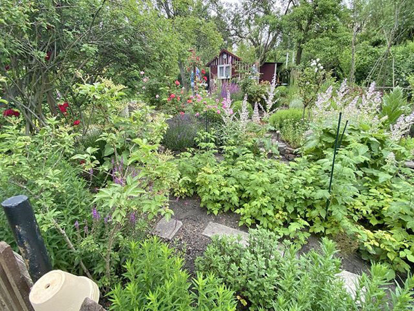 Naturnaher Kleingarten in Connewitz, Foto: Stadt Leipzig